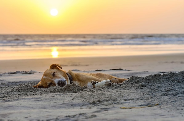 Plage