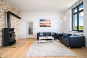Ferienwohnung BlueSea in Malchow Wohnzimmer mit Kamin und Couch