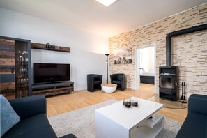Ferienwohnung BlueSea in Malchow Kamin im Wohnbereich