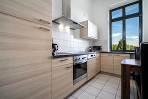 Ferienwohnung InselLiebe in Malchow Blick in die Küche