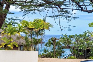 Lanai view Tree Hale
