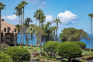 Beach/ocean view