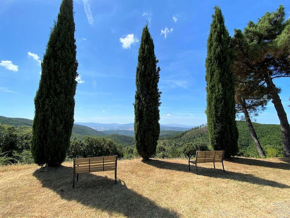 Cloud, Sky, Plant, Outdoor Bench, Natural Landscape, Wood, Grass, Land Lot, Tree, Bench