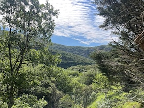 Surroundings [summer] (1-5 km)