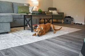 Your furry family members are welcome here! Our pet-friendly space includes cozy lounging areas and thoughtful touches for pets, making it a perfect getaway for you and your four-legged friends.