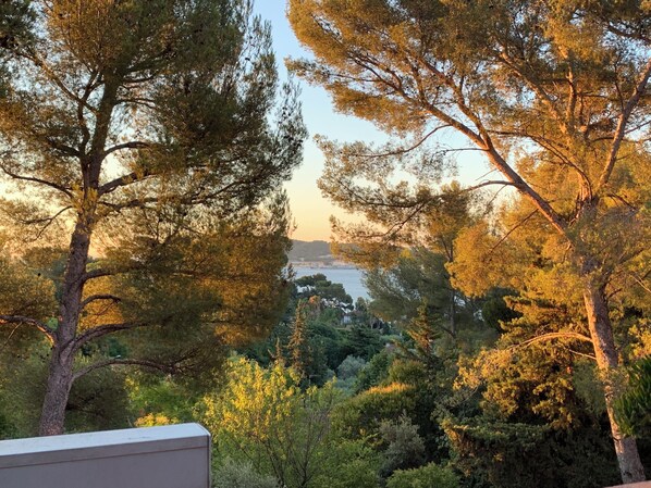 View from property