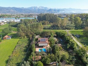 Garden, Outdoor, Pool