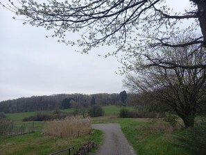 Miscellaneous