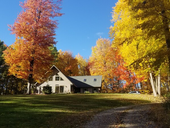 Fall Colors