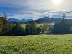 Häusle in der Tannenmühle