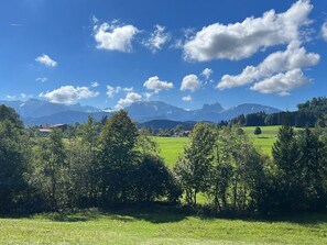 Häusle in der Tannenmühle
