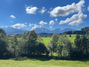Häusle in der Tannenmühle