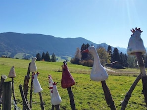 Sonnenblume, Ferienwohnung