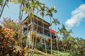 Garden, Nature, Outdoors, Architecture, Building