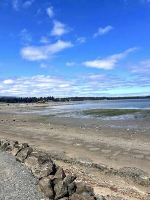 Beach is located just steps away from the main entrance.