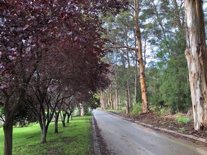 The street access
