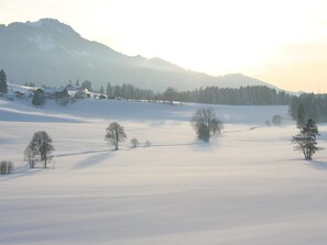 Karg, Haus