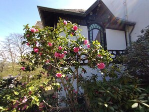 Historisches Haus am Triller