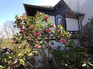 Historisches Haus am Triller