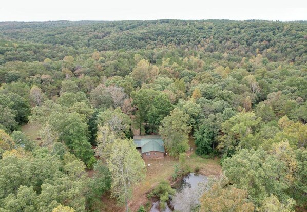 Red Goose Pond! 
3 Acres, Pond, Trails, Fire Pit