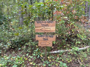 Trails around the pond and wet weather stream.