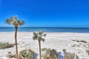Beach Views