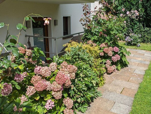 Ferienwohnung Am Ginkgobaum