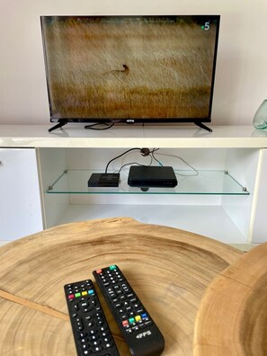 Television