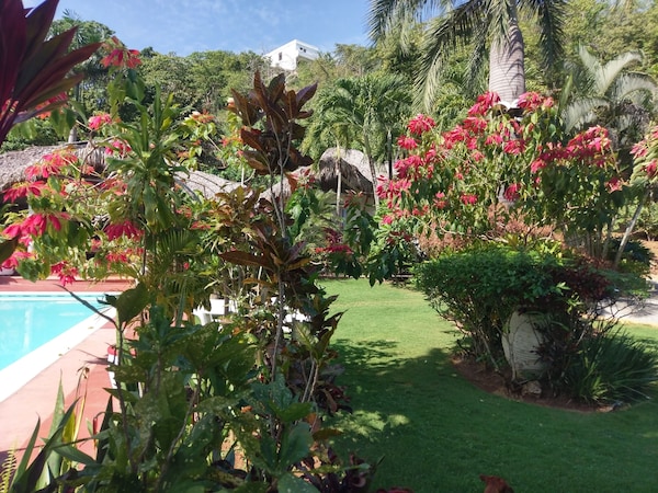 Villa Typique 1 Chambre 2 Personnes, Indépendante Belle Propriété Sécurisée. \N\n - Caribe