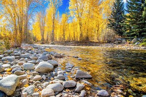 Flyfish from Home! Direct access to the beautiful Bigwood River
