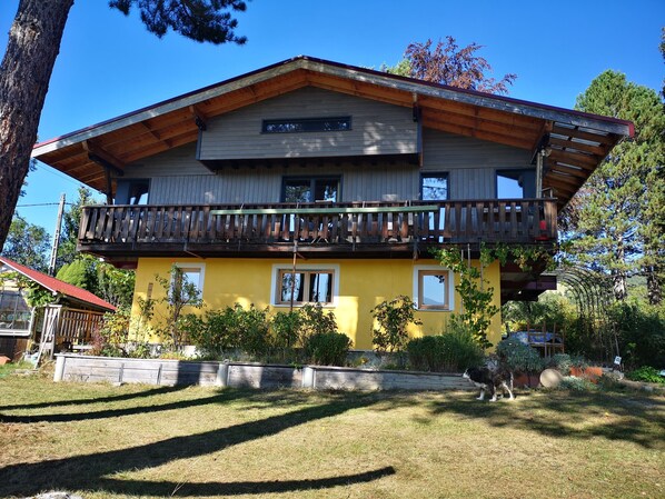 Exteriör