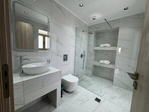 En-suite bathroom with luxurious walk-in shower, WC and hair dryer