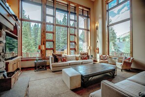 Gorgeous natural light and vaulted ceiling