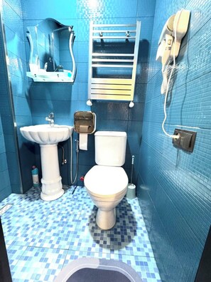 Shower, bidet spray, sink, mirror, hairdryer & heated towel rack.
