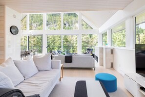Living Area with gas fireplace and mountain views