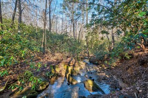 Misty Creek