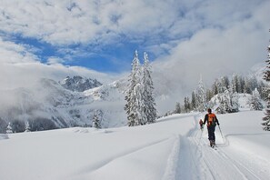 Snow and ski sports