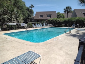 View of the outdoor pool surrounded by palm trees and lounge chairs, offering a tranquil and sunny retreat at Hilton Head Hideaway.