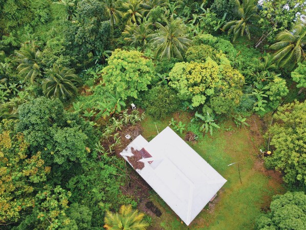 Drone view of house and fruit farm.
