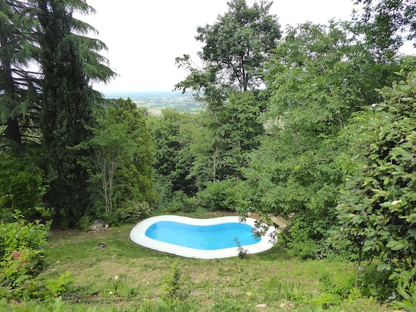 Autumn, Garden, Pool, Spring, Summer