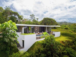 A charming house surrounded by greenery, offering a peaceful escape.
