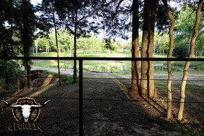  A view of the pond from your patio