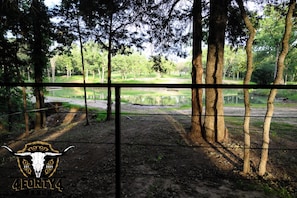 A view of the pond from your patio