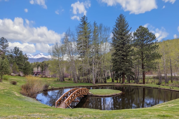 1-web-or-mls-Black Canyon B2-18