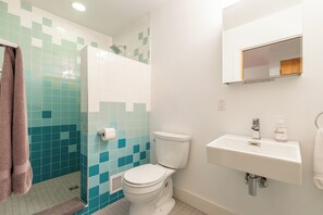 Newly remodeled second bathroom featuring a walk-in shower.