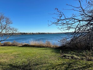 View from the back yard-