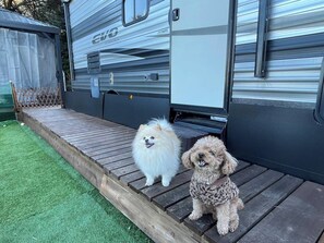 ・[Dome Tent E] There are a few things to note when staying with your dog.