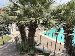 Swimming pool/garden