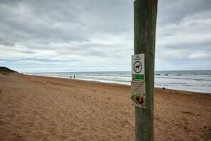 Dog friendly Whites Beach right across the road!