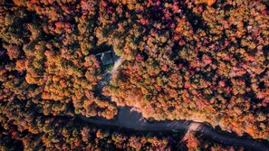 DJI 0007
